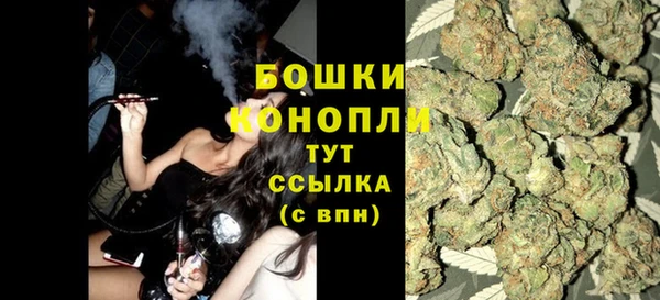 дурь Пересвет