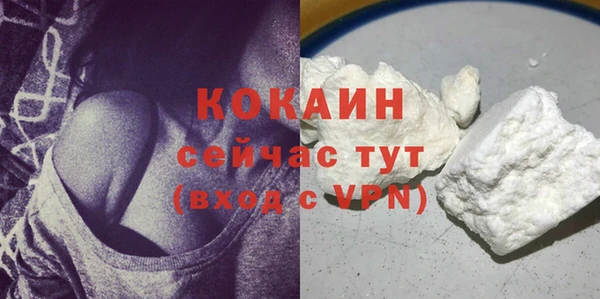 PSILOCYBIN Переславль-Залесский